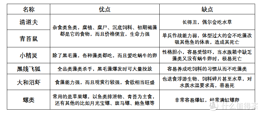 闲时养鱼弄草：如何给你的水族缸“洗澡”？