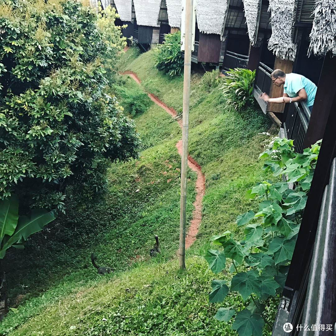 美景与危险并存—非洲马达加斯加解锁之旅