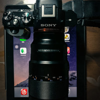 索尼 FE 90mm F2.8 OSS 微距镜头使用体验(重量|模式|微距)