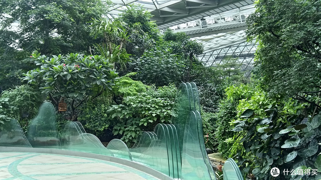 植物风情馆内部一景