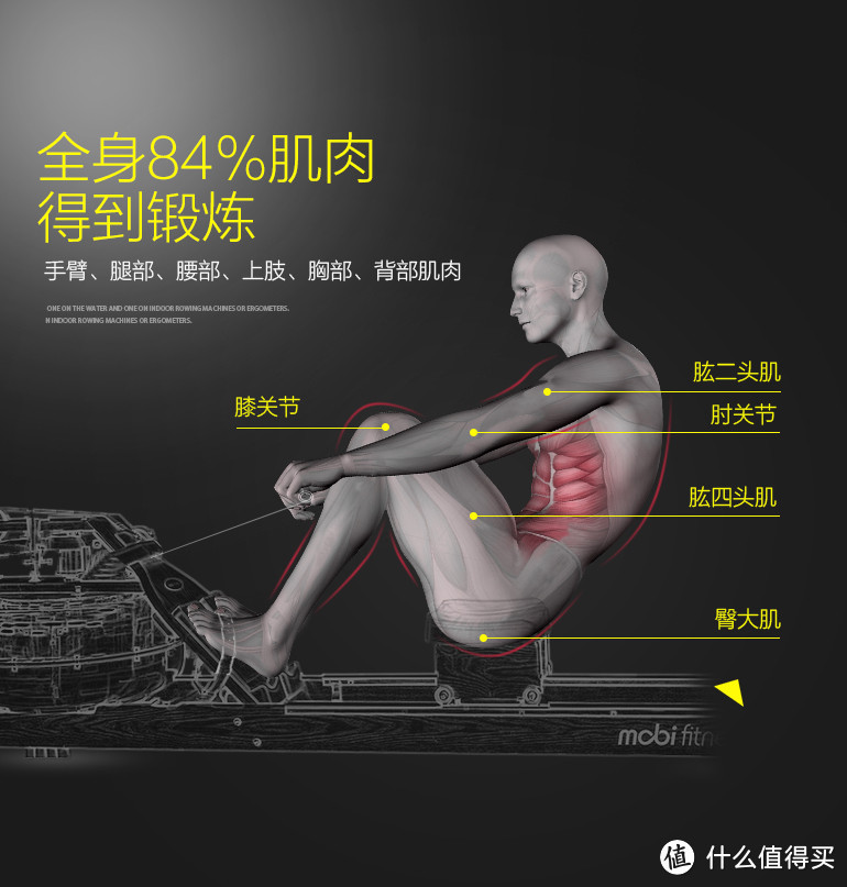 划船机锻炼哪部分肌肉图片