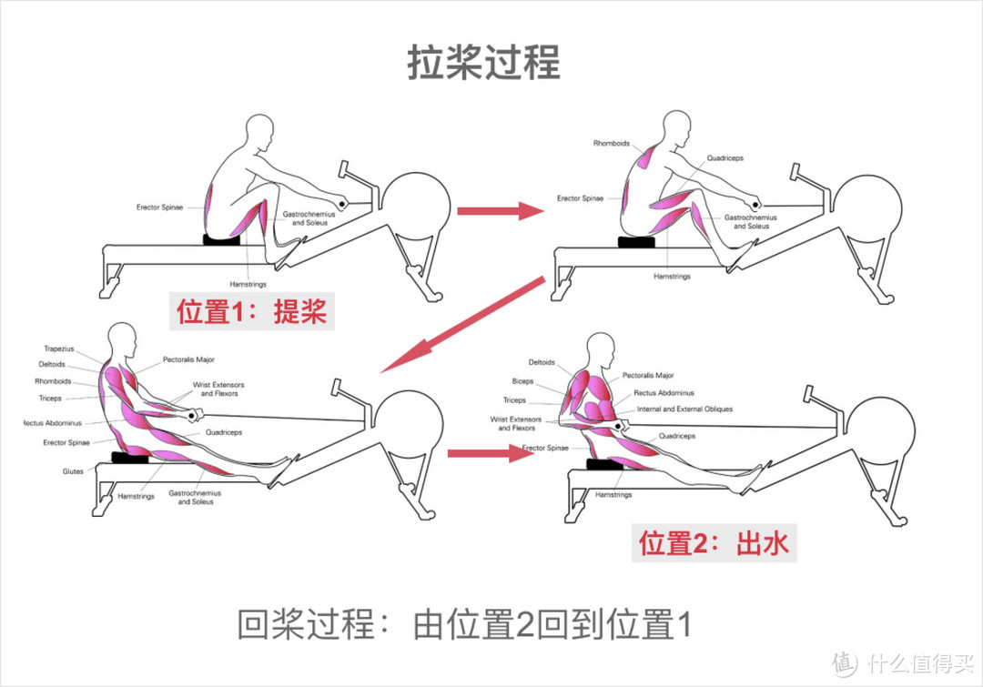 从莫比智能划船机谈起：为什么你值得一台划船机（含真人演示）