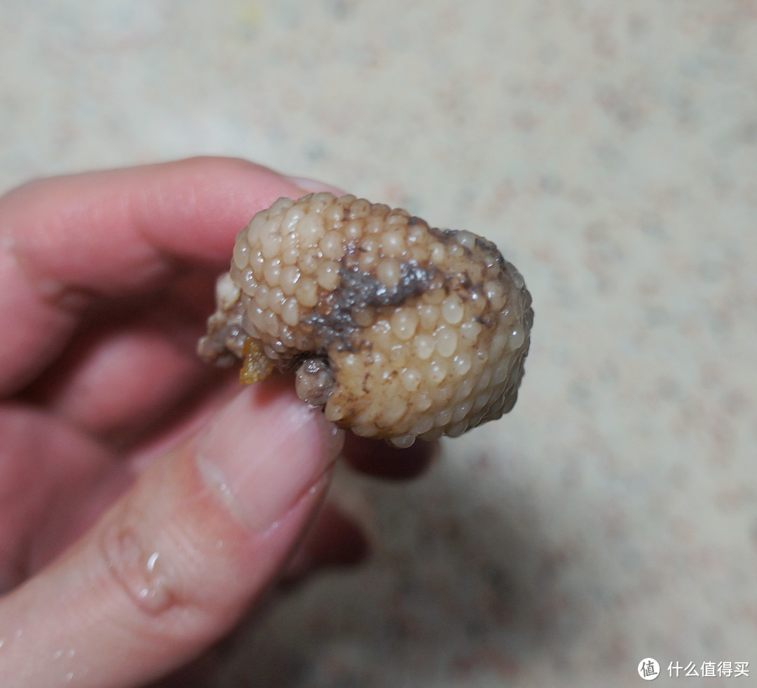 分享下我做啤酒菜肴的经验心得 - 秘制福佳白陈皮茶香啤酒鸭