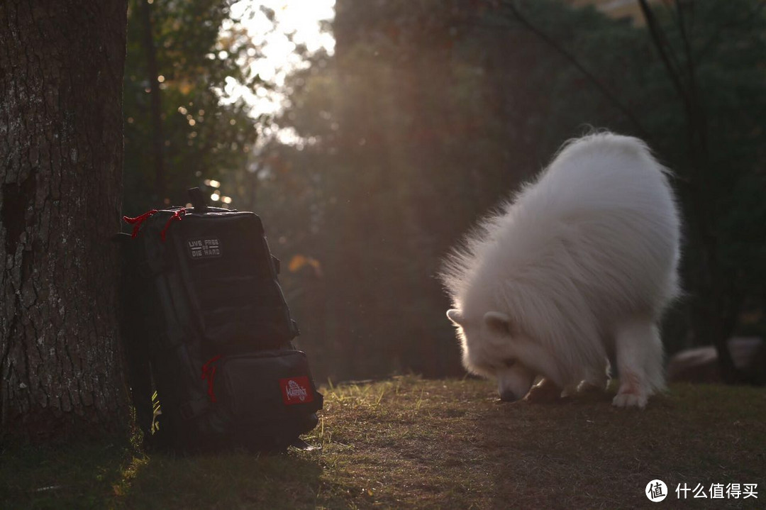 背上就起范儿——麦格霍斯猎鹰背包 Magforce Eagle backpack