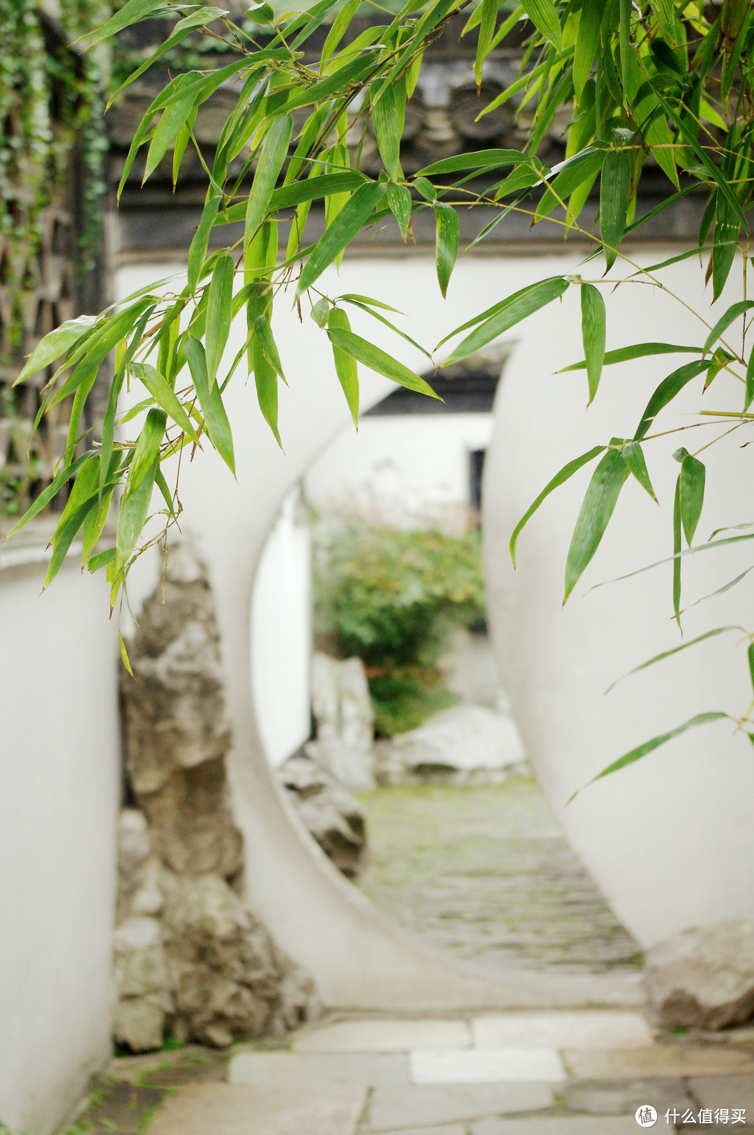 印象-扬州：桂蕊花开九里香