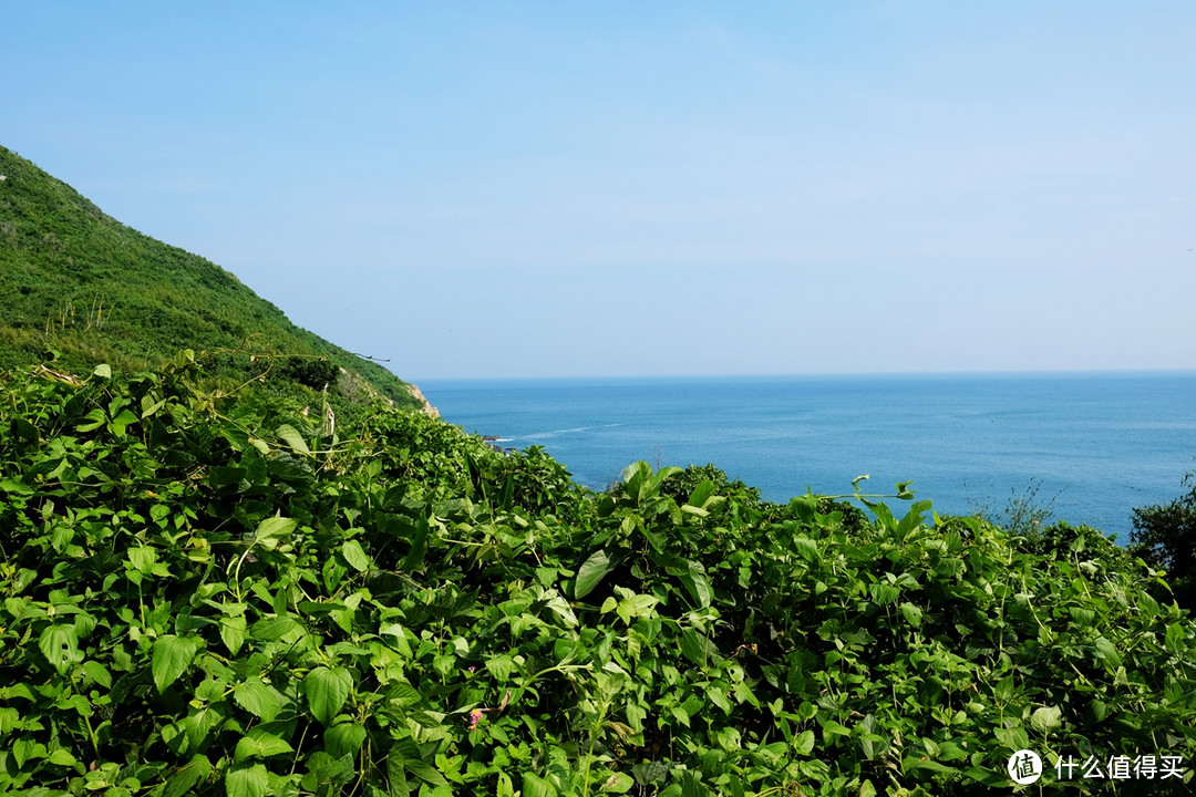 看山观海聊人生，5天4晚不一样的海南之旅！