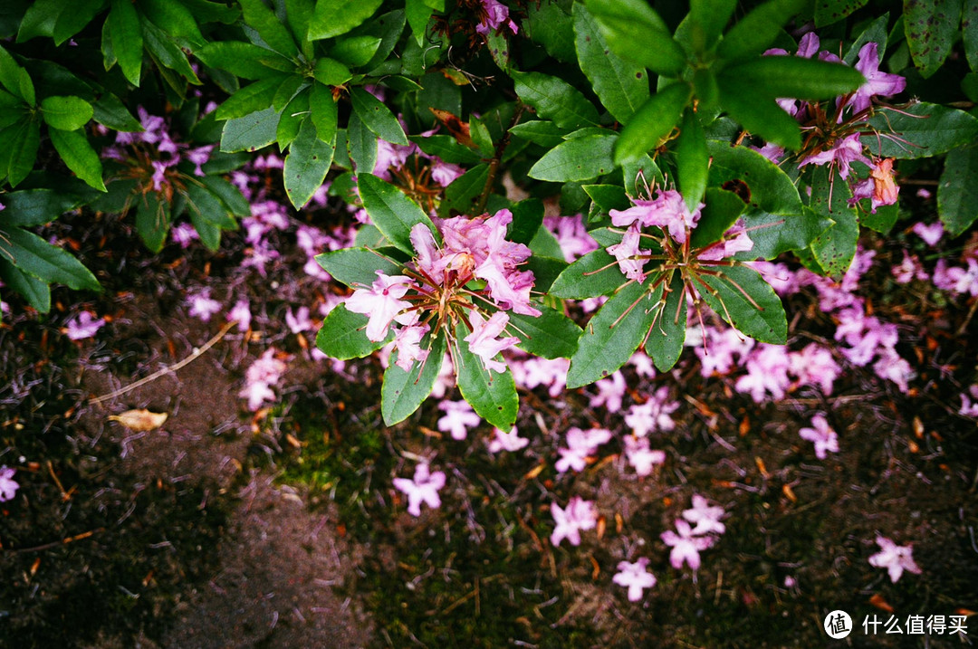 Contax G1 胶片相机：记录旅途的点点滴滴