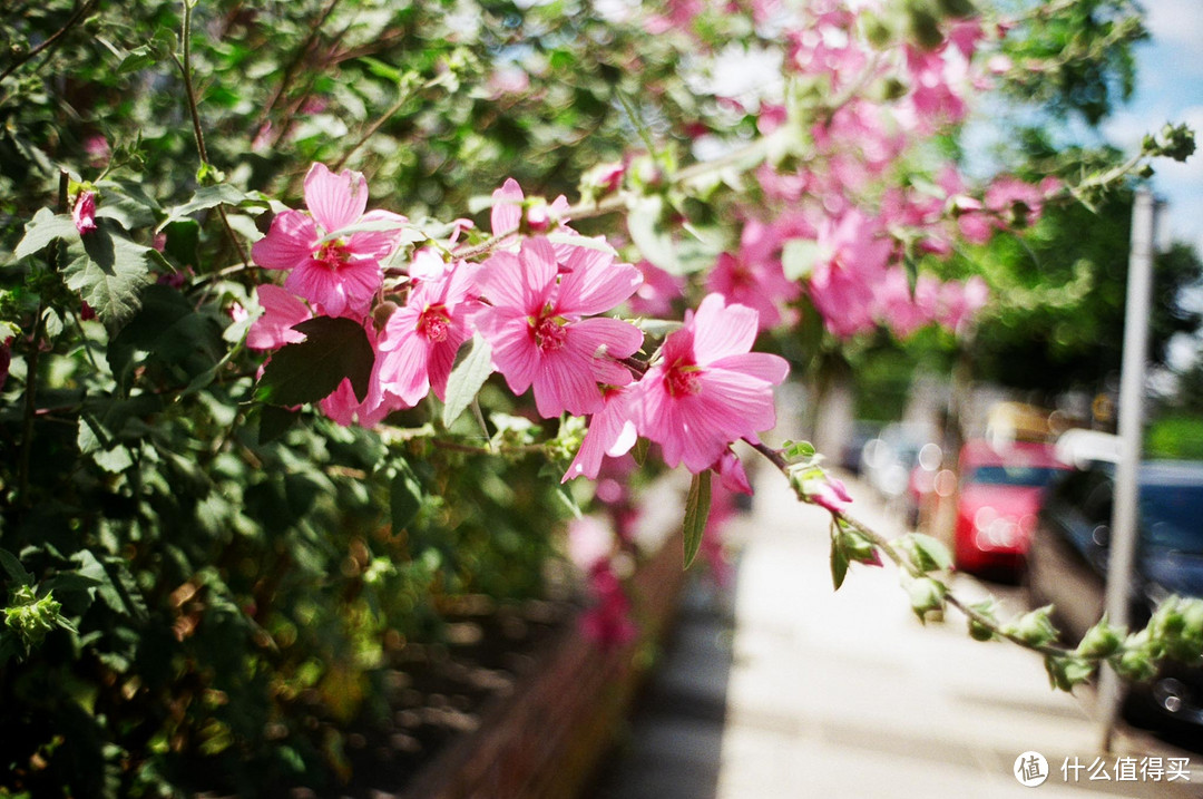 Contax G1 胶片相机：记录旅途的点点滴滴