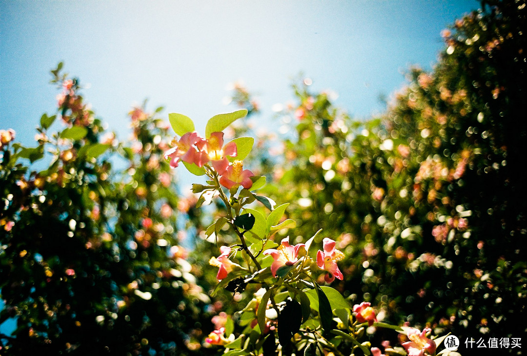 Contax G1 胶片相机：记录旅途的点点滴滴