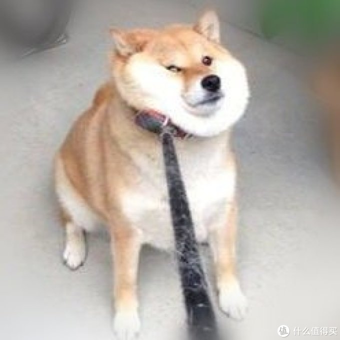 妹子你听我说,这才是我们男生想要的圣诞礼物