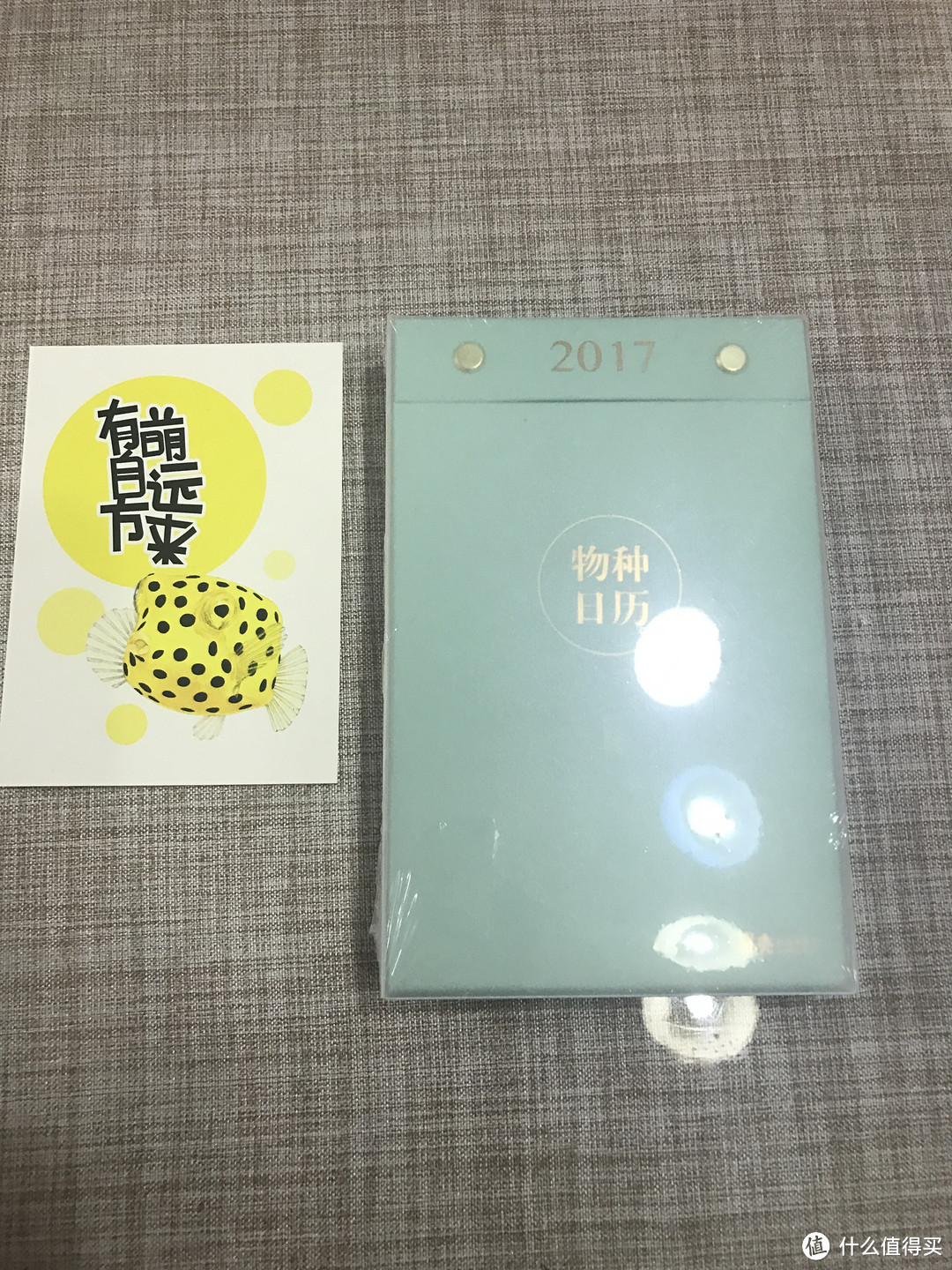 有萌自远方来——物种日历，送给2017年最好的你