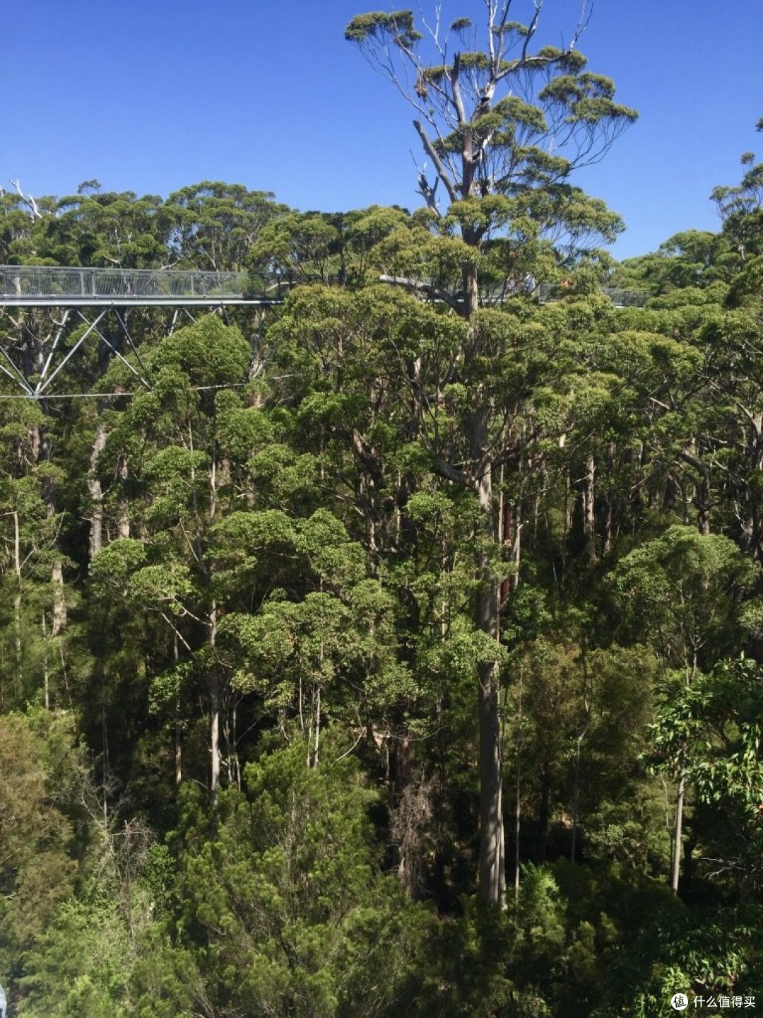 Z53hw5lmrnc7em Z53hw5lmrnc7em