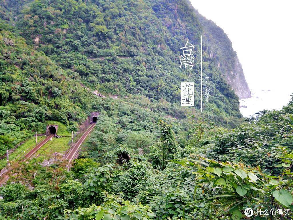 台中兰花