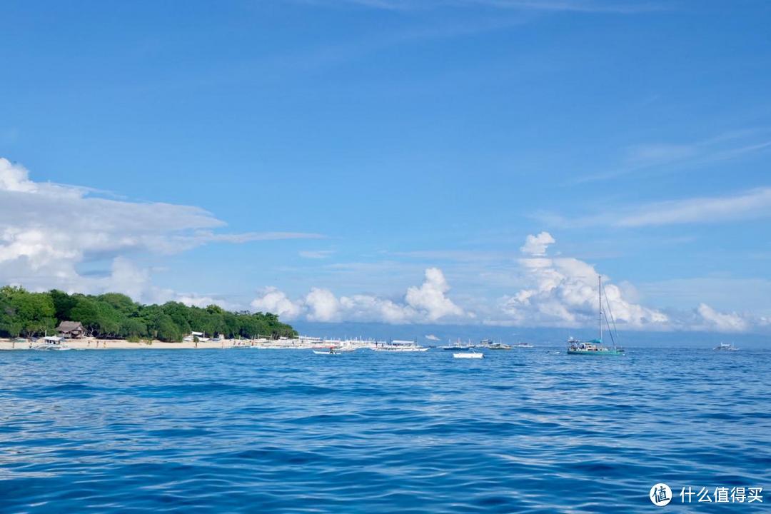 海龟与大海