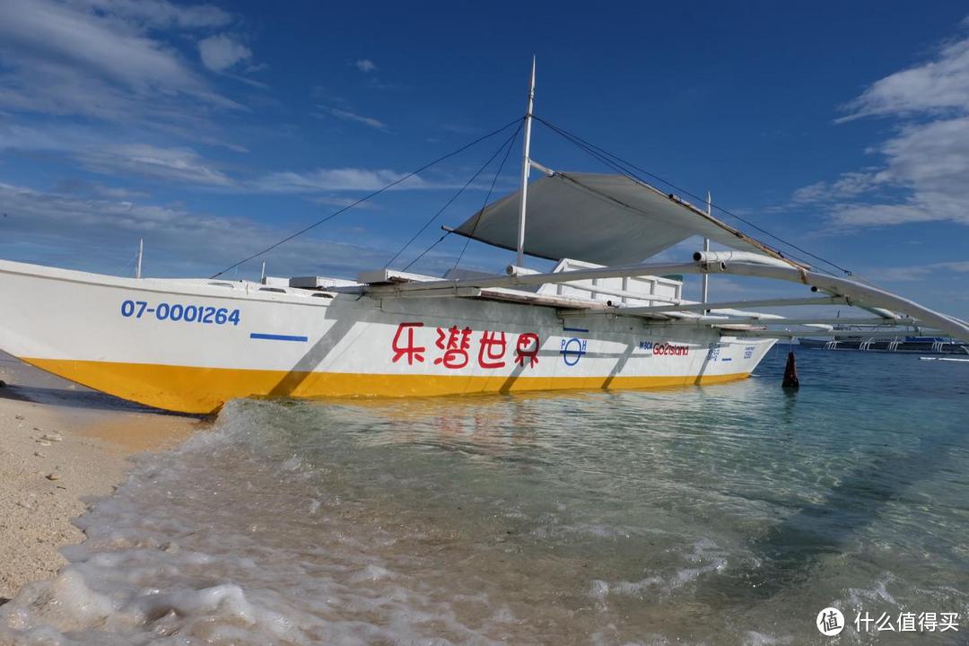 海龟与大海