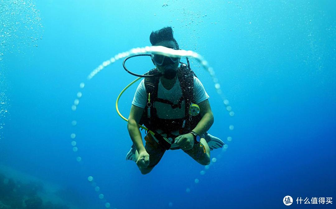 海龟与大海