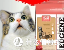 忽然超级想养猫之极速筹备指南