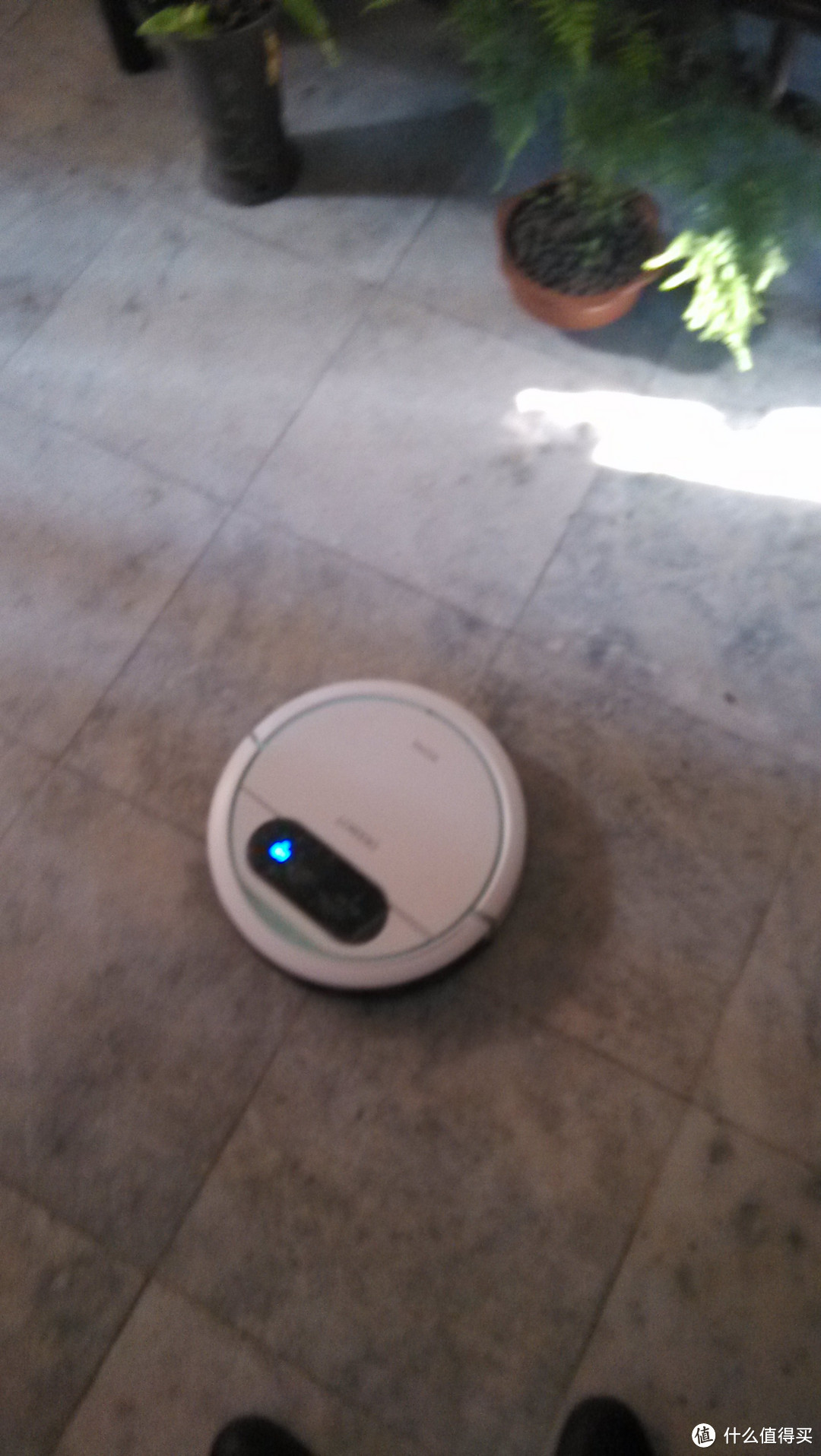使用一个月之后谈谈感受,ECOVACS 科沃斯 妙妙 扫地机器人 开箱
