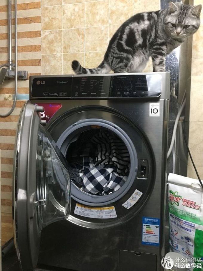 除螨杀菌 — LG WD-T1450B7S 8KG 蒸汽洗衣机