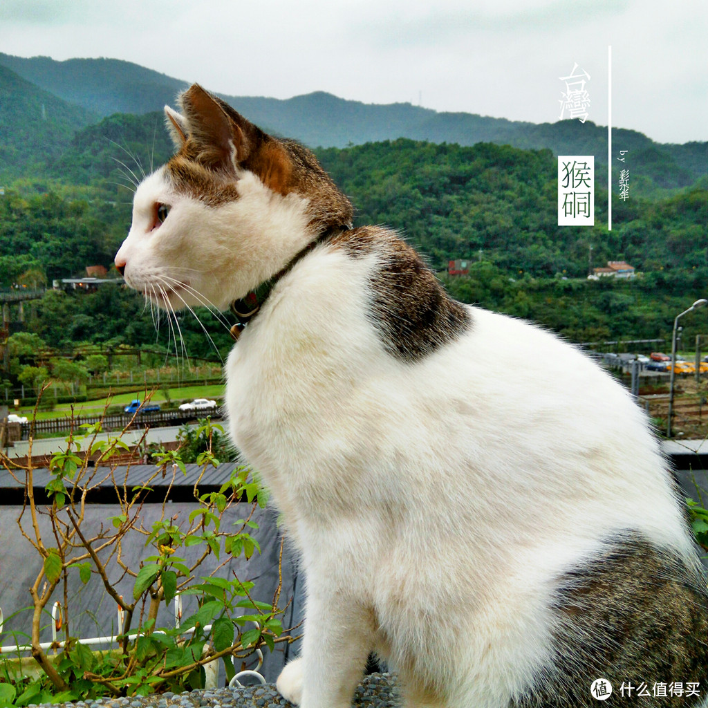 台北天空