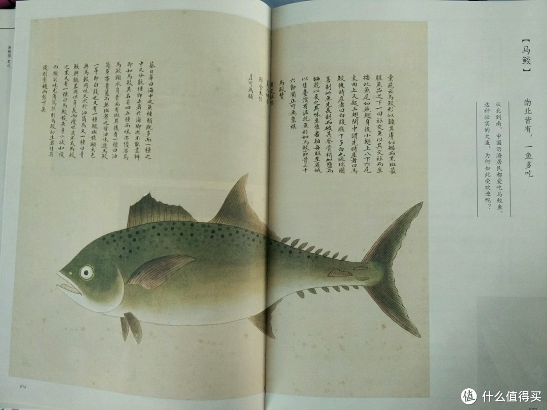 论家常海鲜的30种做法 —《中国国家地理：海错图笔记》开箱