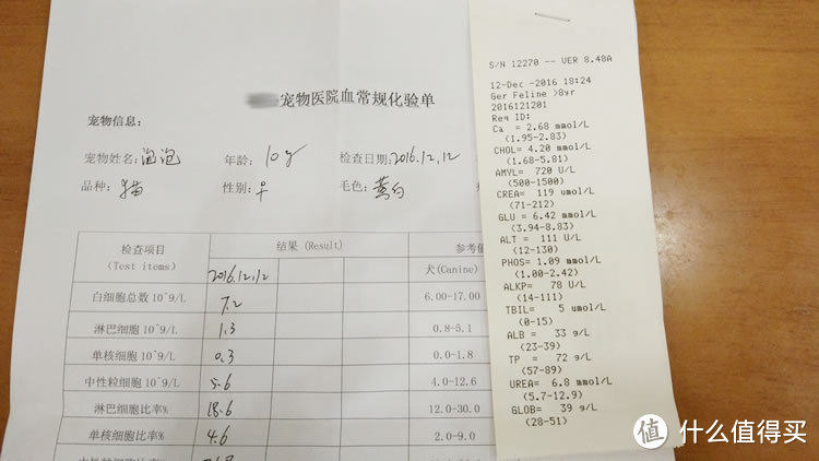 养它，请爱它一生：记录猫咪生命的最后时光