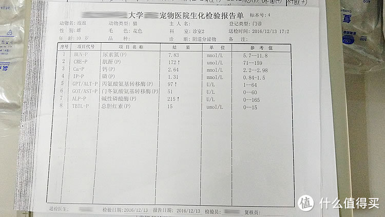 养它，请爱它一生：记录猫咪生命的最后时光