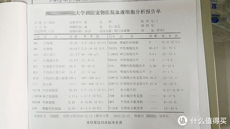 养它，请爱它一生：记录猫咪生命的最后时光