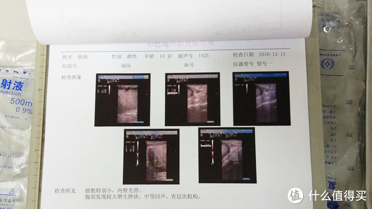 养它，请爱它一生：记录猫咪生命的最后时光