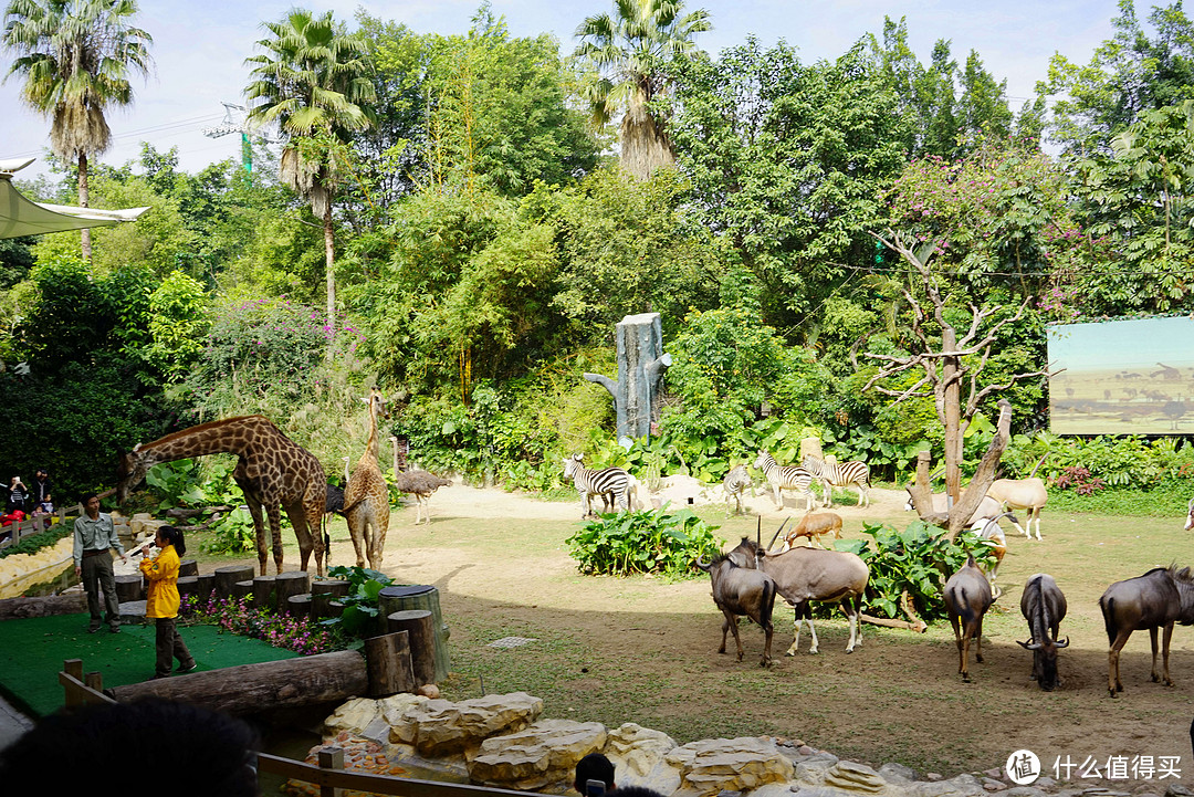 宝宝爱旅行之食住行玩全记录：广州