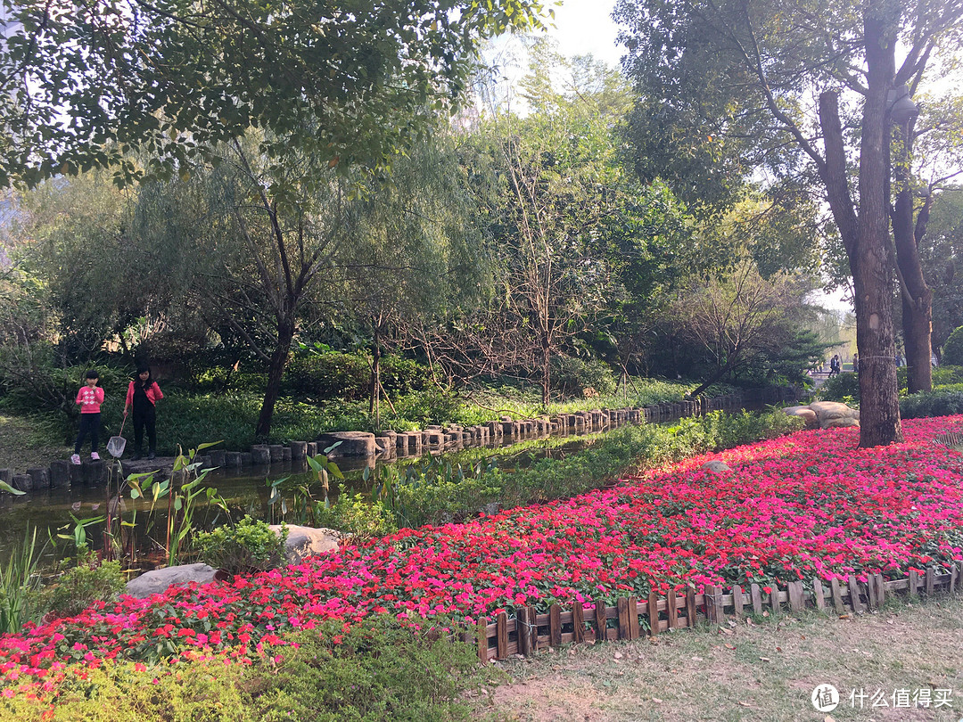 宝宝爱旅行之食住行玩全记录：广州