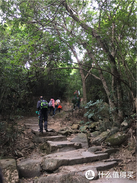 徒步香港大满贯之港岛径（非全程）与长洲岛（一）