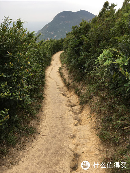 徒步香港大满贯之港岛径（非全程）与长洲岛（一）