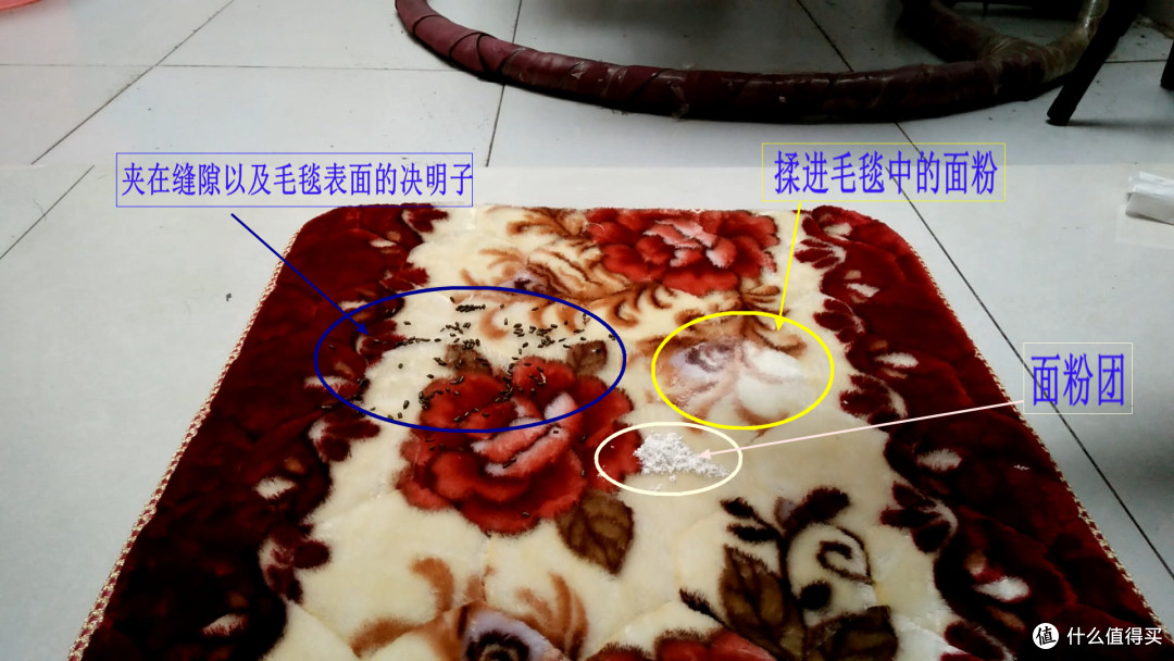 再一次用实战见证效率——博世BOSCH 动物园系列无线吸尘器评测