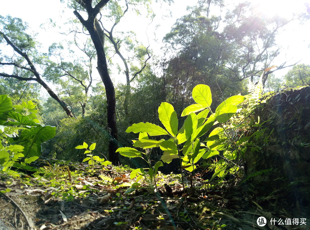 颜值高又“大碗”——魅蓝 Note5 智能手机 众测体验