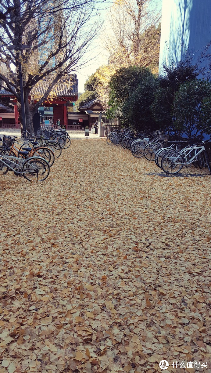 完结篇:东京最后的狂欢,借以怀念一下没有霾的天空