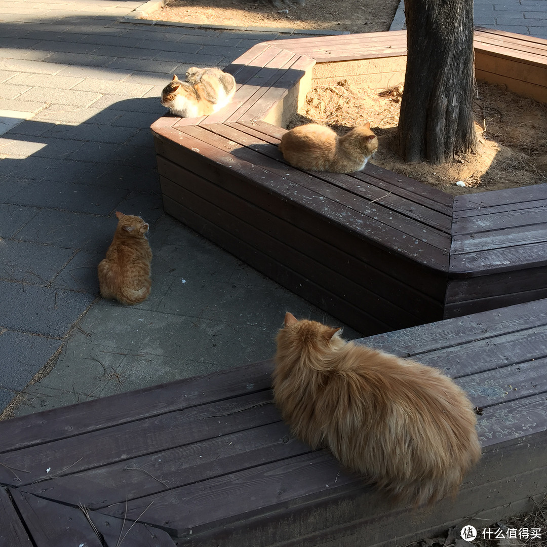 猜中了结局，却没猜中开头 — 2017开年北京之旅