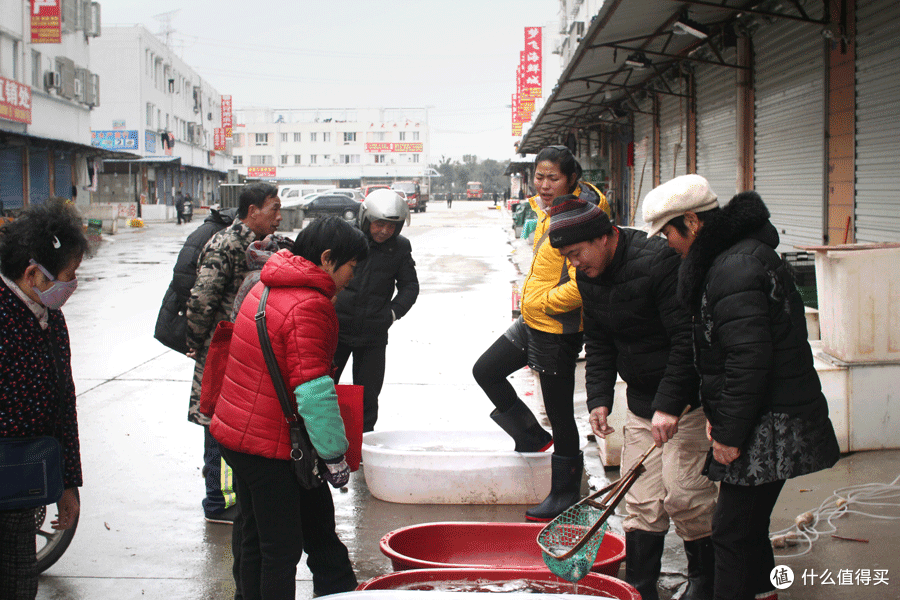 打脸——这些海鲜市场想替代铜川路，还早了800年