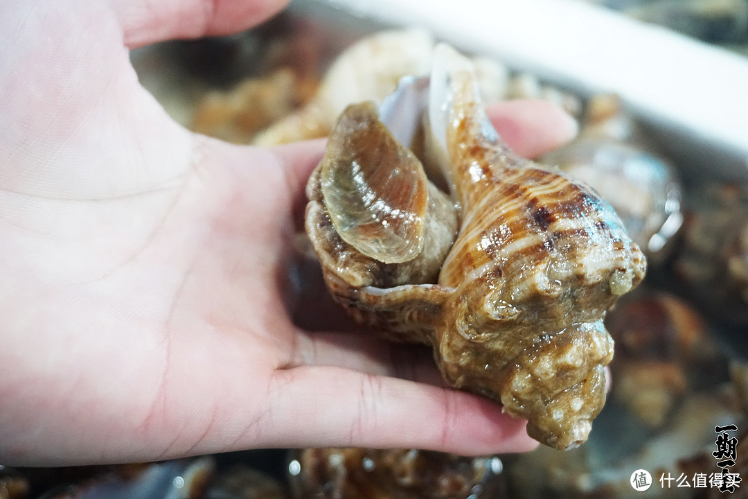 帮你过年穿梭海鲜市场买到超划算海鲜