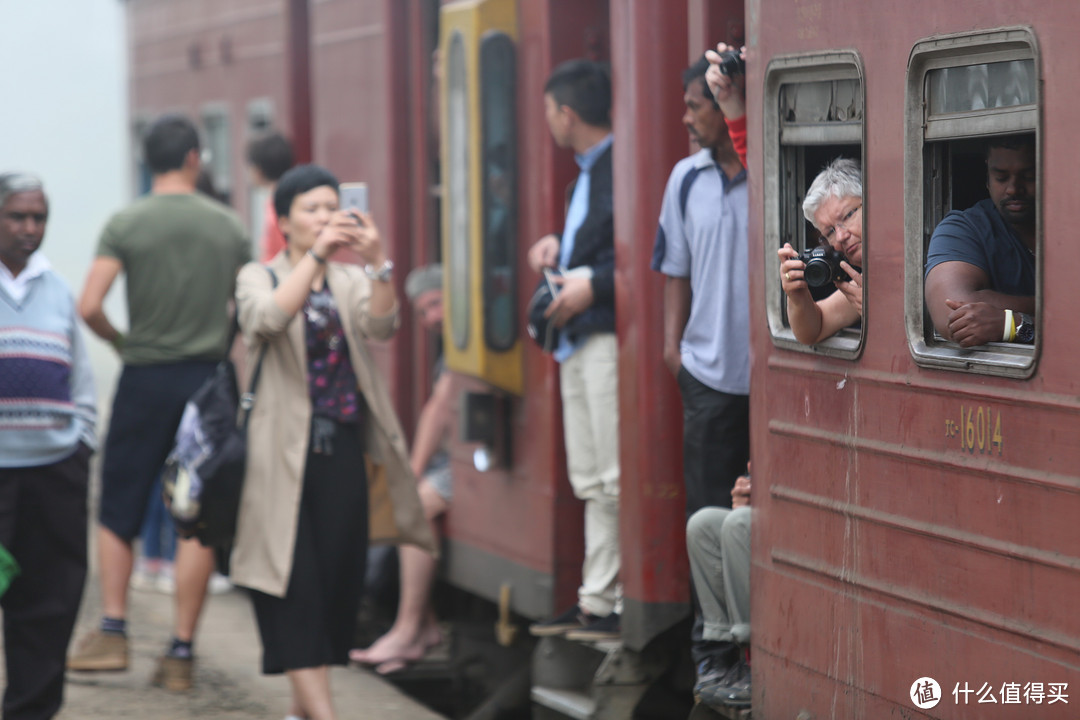 茶园火车之旅——从努瓦利亚到美瑞莎