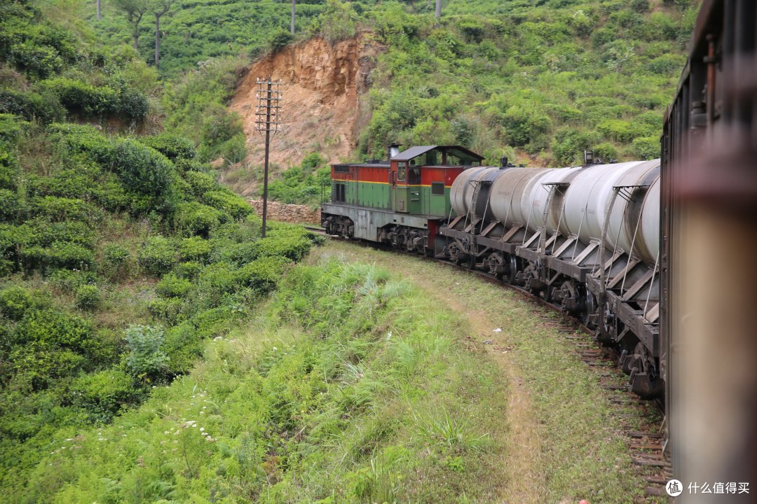 茶园火车之旅——从努瓦利亚到美瑞莎