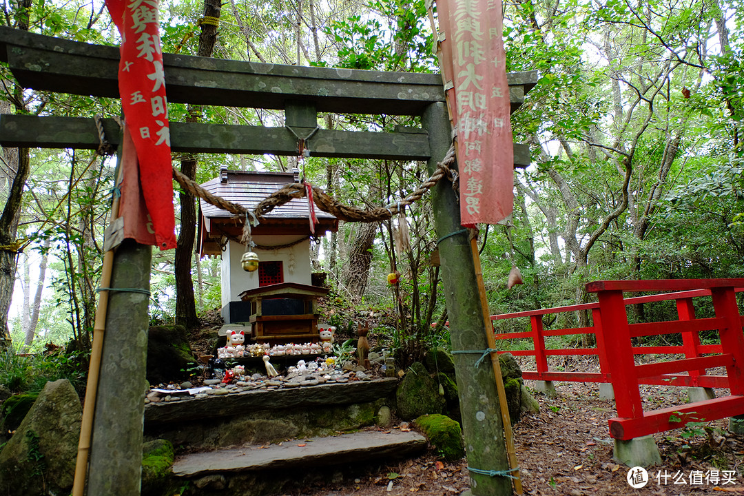 仙台、猫岛篇，一起来撸猫吧