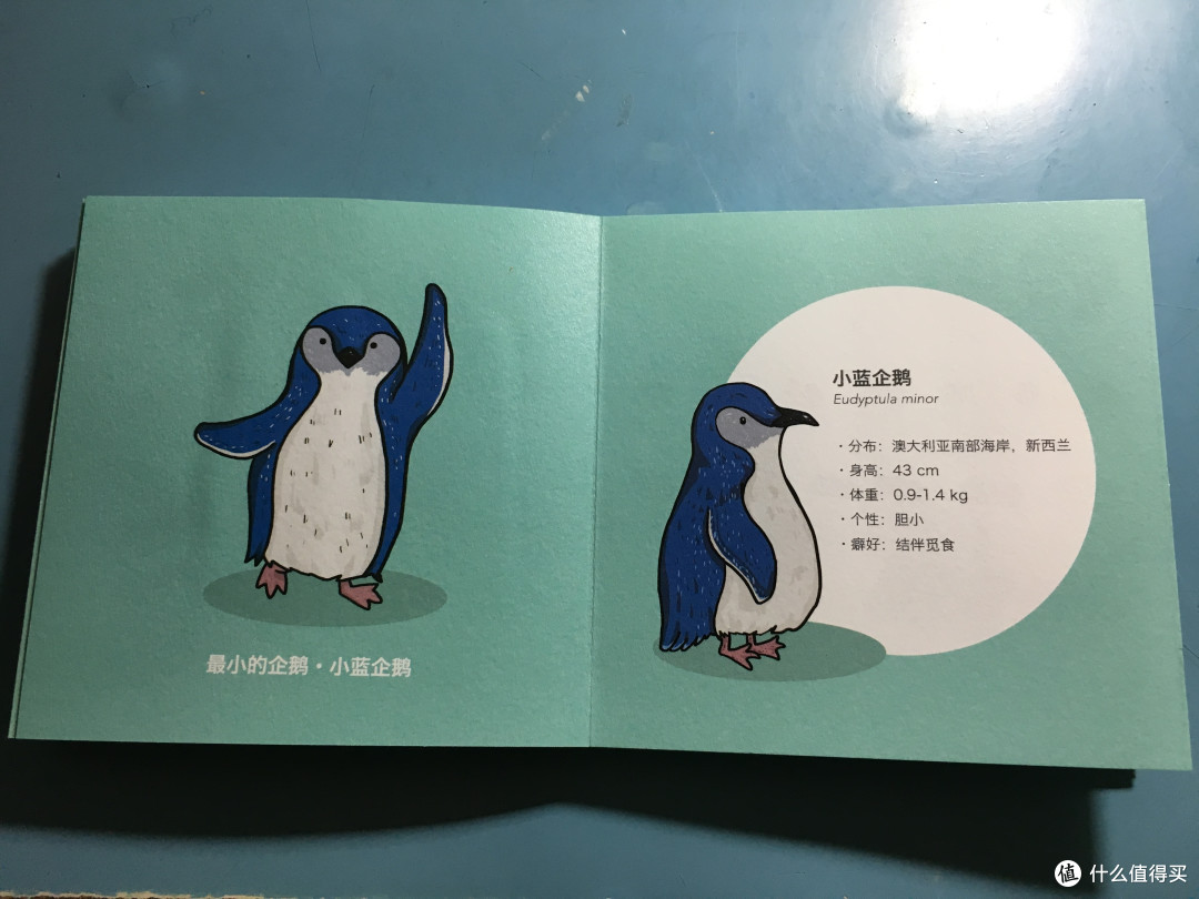 我的积木 篇四:量子积木第三弹—企鹅冰团