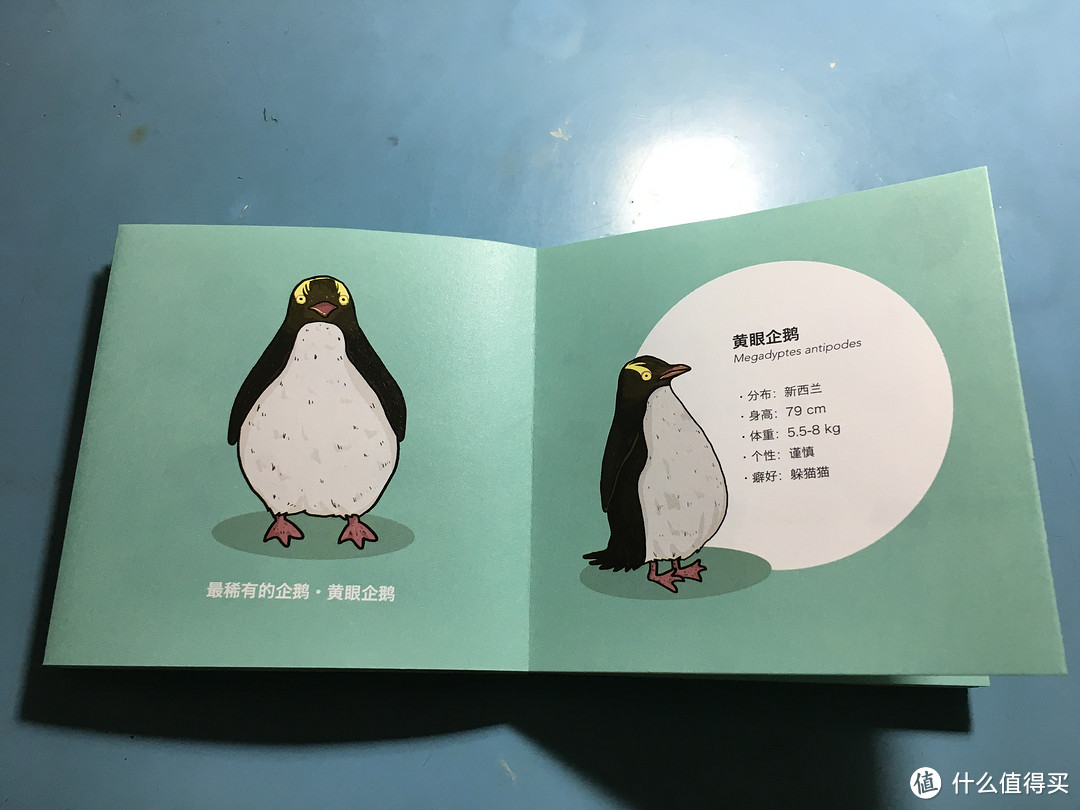 我的积木 篇四:量子积木第三弹—企鹅冰团