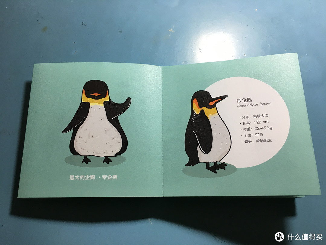 我的积木 篇四:量子积木第三弹—企鹅冰团