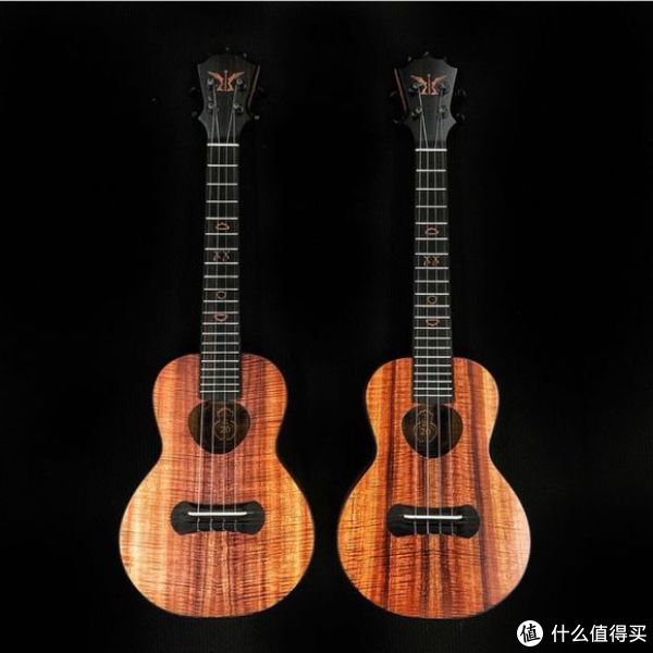 Ukulele乌克丽丽知识及选购指南 | 尤克里里什么