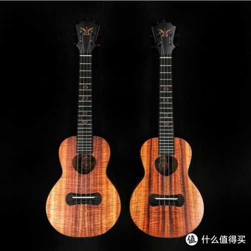 Ukulele乌克丽丽知识及选购指南 | 尤克里里什么