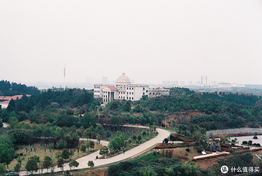 学校外国语学院