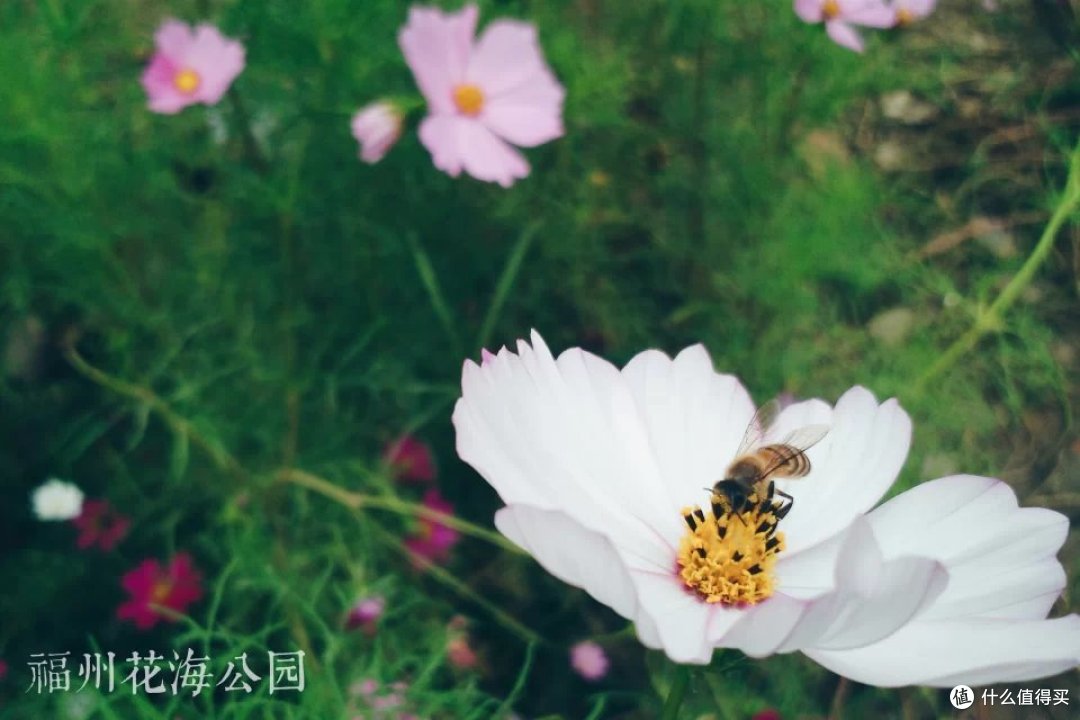 关于2016年,“摄影”——我还在努力