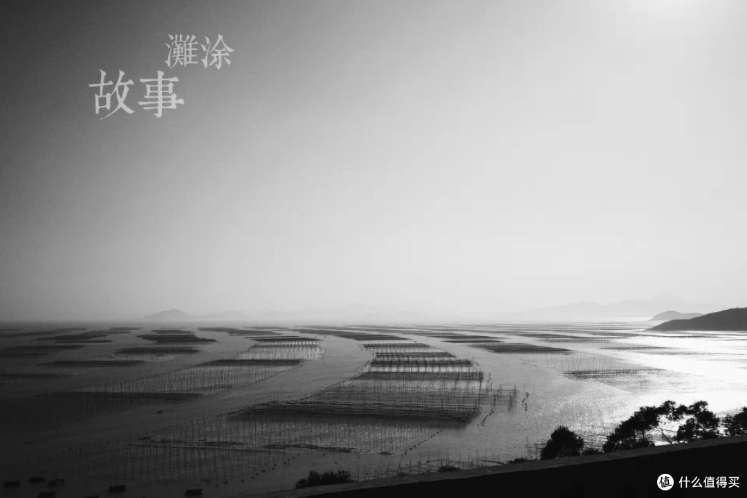 关于2016年,“摄影”——我还在努力